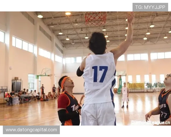 南京排球队在钻石联赛中的耐力表现分析与展望