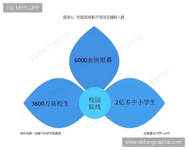 武汉滑板队的成功运营模式与发展策略深度解析